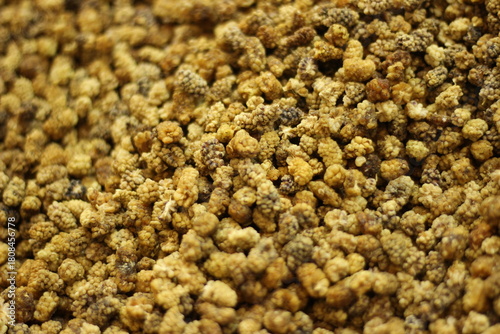 Dried mulberries texture background showing white and brown dehydrated fruit mix pattern