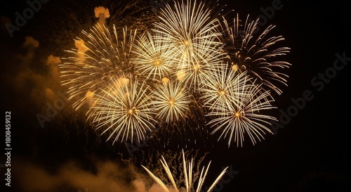 Fireworks display against a dark sky