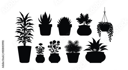 Silhouette collection of varied potted houseplants and hanging basket design