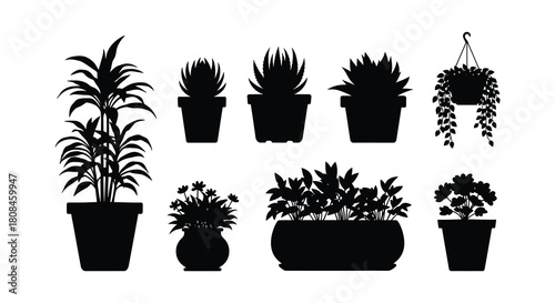 Silhouette collection of varied potted houseplants and hanging basket design