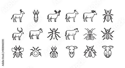 Set of animal icons minimalist line art vector illustration isolated on white background