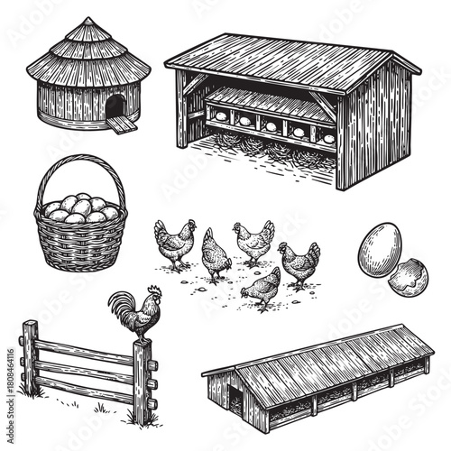 Vintage Farm and Poultry Elements Set Engraving Vector Illustration