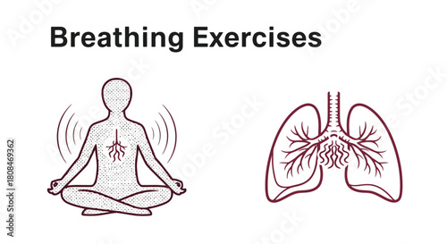 Mindful Breathing and Respiratory System Anatomy Illustration for Health and Wellness