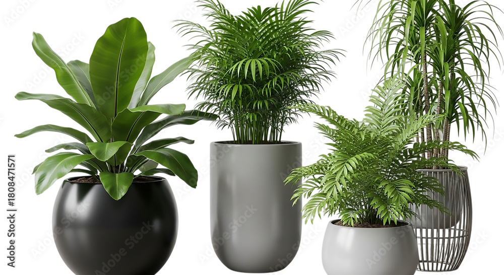 Fototapeta premium Assortment of Tropical Indoor Plants in Modern Ceramic Planters