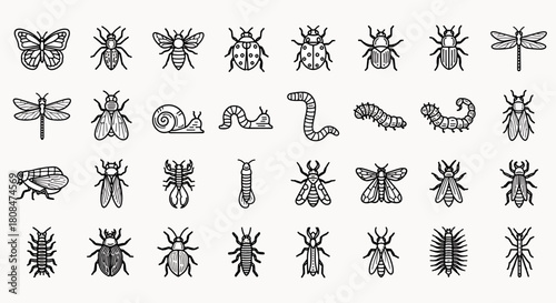 Collection of Diverse Insects and Bugs Vector Icons Set Butterfly Beetle Ladybug Ant Dragonfly Snail and Worms