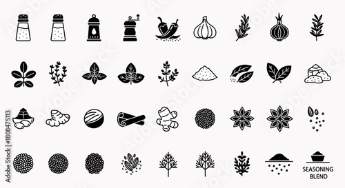 Collection of seasoning and spice ingredients icons, illustration of culinary herbs and spices, isolated on white background