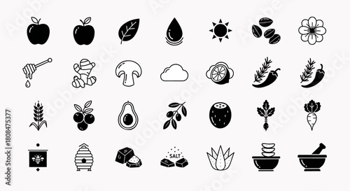 Healthy Food Ingredients Collection Vector Icons Apple Ginger Mushroom Avocado Coconut Radish Carrot Diverse Nutrition Set