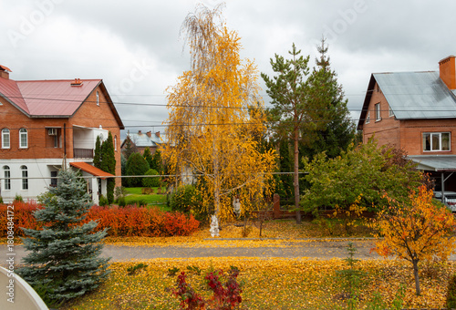 Vivid colours of autumn landscape in the countryside.