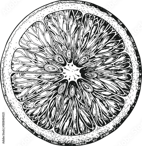 Dark silhouette of a citrus fruit cross-section with visible pulp and rind on black background