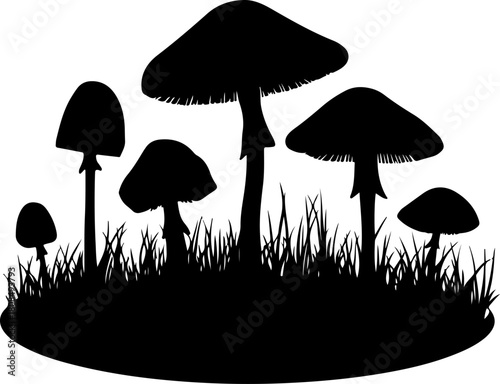 mushrooms in the grass