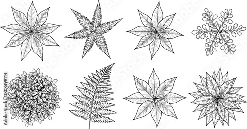 Hand drawn botanical collection, black and white leaves, fern, succulent, top view sketch, vector illustration, isolated nature elements for floral design.