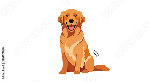 Happy golden retriever dog sitting with a wagging tail on a white background.