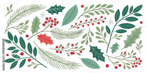 Vector  christmas  assorted foliage with berries and holly leaves on a white background