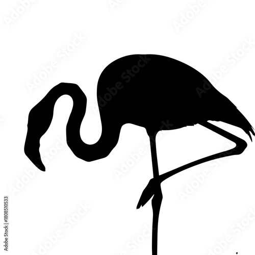 Silhouette of a Flamingo Standing on One Leg Against a White Background