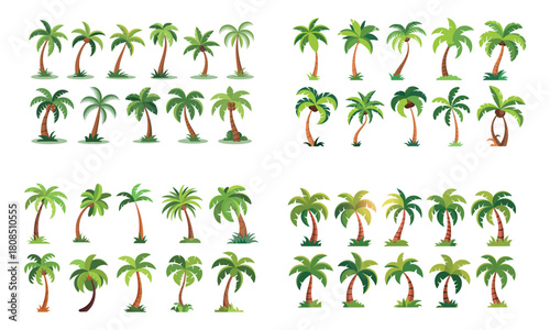 Palm tree illustration set with tropical palm variations 
