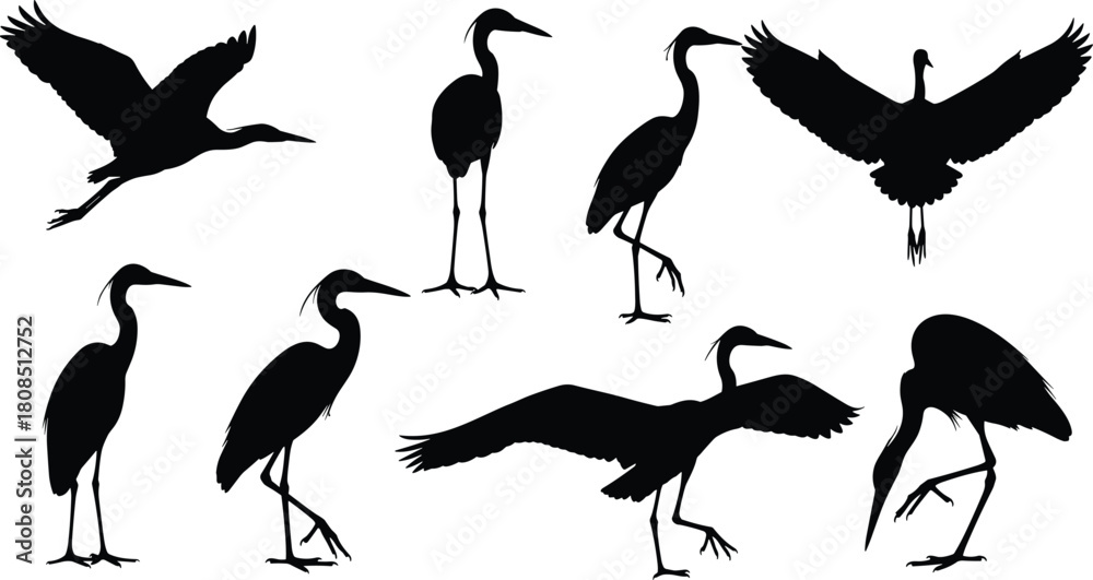 Naklejka premium Black silhouette collection of heron and crane birds, standing and flying animals isolated on white background, vector illustration set for wetland wildlife design