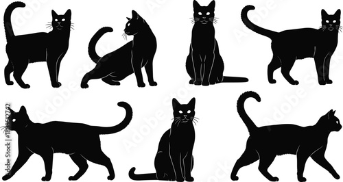 Black cat silhouettes, vector illustration set of feline shapes standing walking and sitting, isolated domestic animal graphics for halloween or pet logo.
