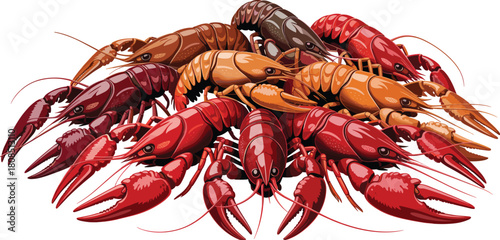 Vibrant colorful crawfish pile illustration showcasing detailed seafood crustaceans in red, orange, and brown tones for culinary and seafood design use