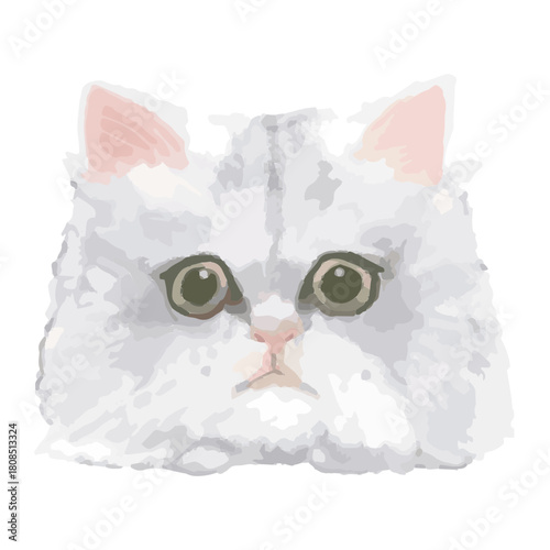 Realistic Cats of the World –Chinchilla Cat – Face Vector Illustration