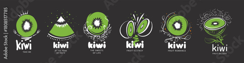 A set of creative vector kiwi fruit logos