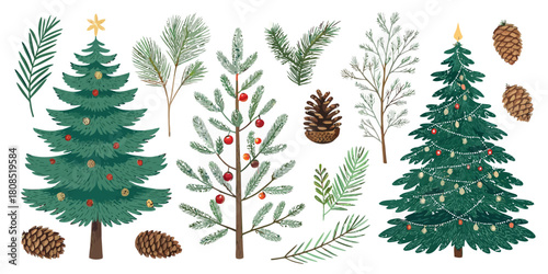 Vector  christmas  illustration of christmas trees branches and pine cones assortment