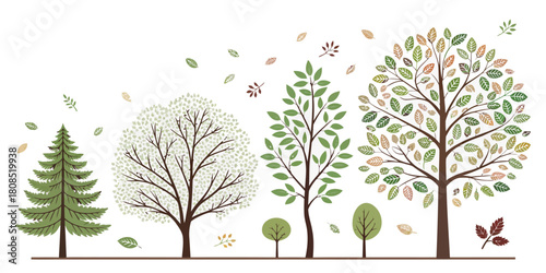 Vector  christmas  illustration of various trees with leaves and without leaves