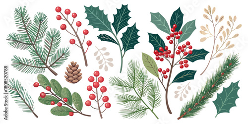 Vector  christmas  assorted botanical elements including pine cones holly and berries