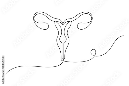 Female reproductive system uterus and ovary continuous one line drawing of minimalist vector illustration