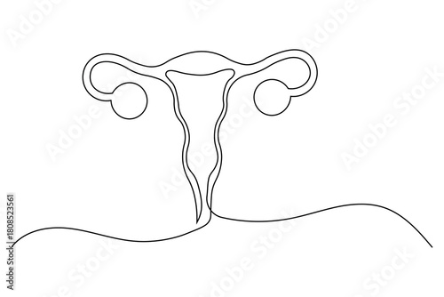 Female reproductive system uterus and ovary continuous one line drawing of minimalist vector illustration