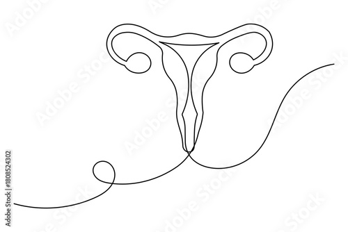 Women's Uterus and Ovary continuous one line drawing, Female reproductive system uterus isolated vector illustration