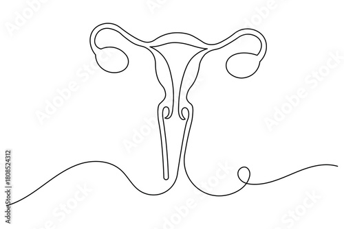 Women's Uterus and Ovary continuous one line drawing, Female reproductive system uterus isolated vector illustration