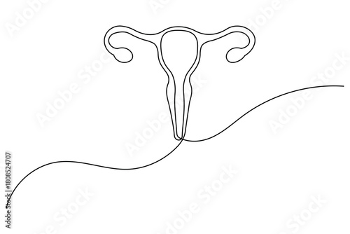 Female women uterus continuous one line drawing of minimalist vector illustration