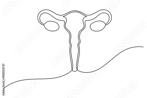 Female women uterus continuous one line drawing of minimalist vector illustration