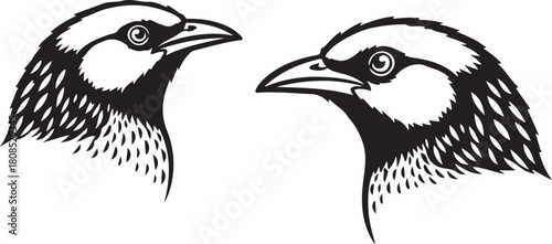 vector illustration of an eagle
