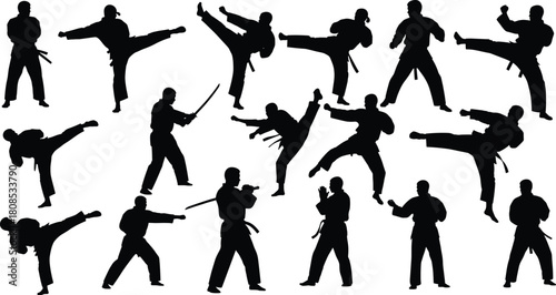 Martial arts silhouette, combat pose, high kick, weapon technique, traditional uniform, black outline, white background, training stance, fighter motion, discipline