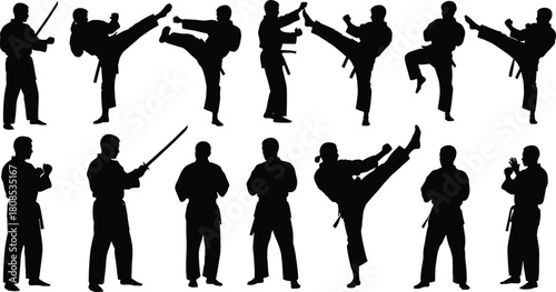 Martial arts silhouette, combat stance, high kick, weapon pose, traditional uniform, black outline, white background, fighter motion, training discipline, technique
