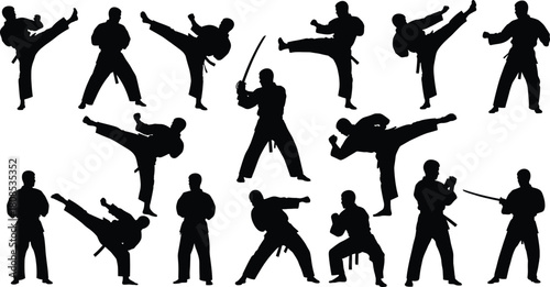 Martial arts silhouette, combat technique, high kick, sword pose, traditional uniform, black outline, white background, fighter stance, training motion, discipline
