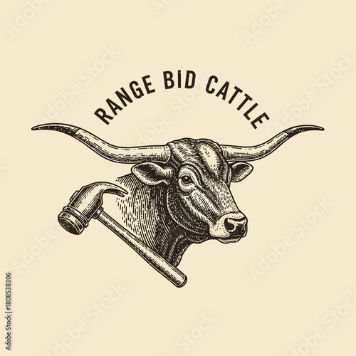 Vintage Texas Longhorn bull head with auction hammer logo design.