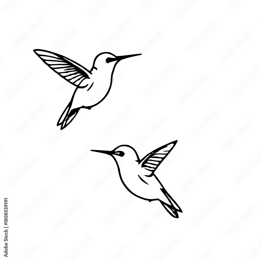 Naklejka premium Two Hummingbird Icons: Stylized Black Silhouettes