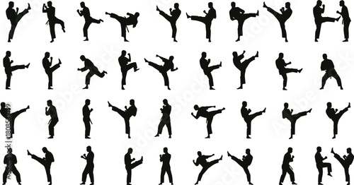 Martial arts silhouette, high kick, combat stance, striking pose, defensive movement, black outline, white background, training motion, discipline, technique