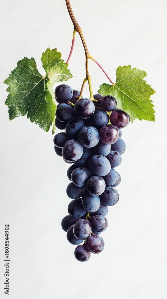 Fototapeta premium A bunch of ripe grapes hanging vertically on a white backdrop