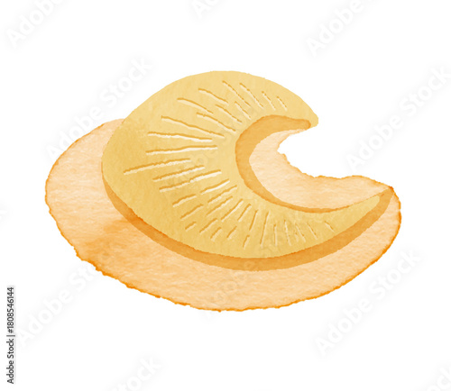 フカヒレのイラスト（中華料理・高級食材）