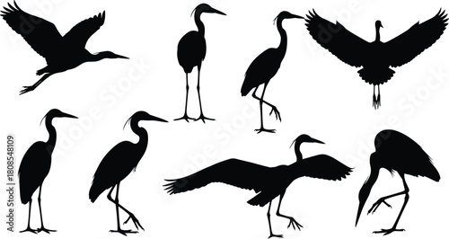 Black heron silhouettes vector collection, flying and standing egret birds isolated on white background, wetland animal illustration set for graphic design