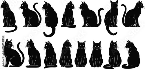 Set of black cat silhouettes, vector illustration collection of sitting feline pets in various poses, isolated on white background for logo design.