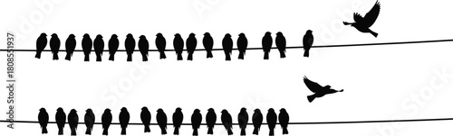 Vector illustration of black bird silhouettes sitting on electric wires, isolated on white background, with two birds flying away from the flock.