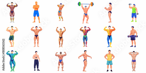 Flat Illustration Diverse Muscular Bodybuilder Poses Collection Isolated on White Background