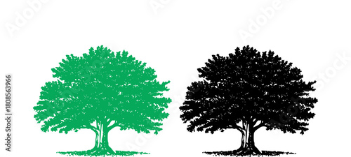 Tree, simple flat forest flora, coniferous and deciduous meadow trees.