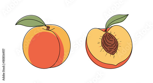 Simple and clean illustration of a whole ripe peach next to a halved peach showing the stone pit on a white background.