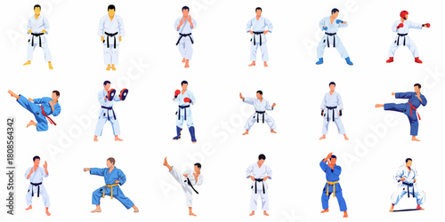 Group of Man Action Poses Practicing Martial Art Sport Karate