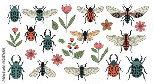 Collection of various illustrated insects and wildflowers on a white background.